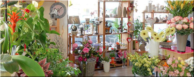 Fleurs de Lys
