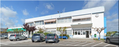 Sologemin